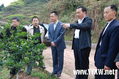 青龙县哪个镇人口最多_古剑奇谭流程任务攻略 咕噜湾的图文攻略 攻略秘籍作(2)